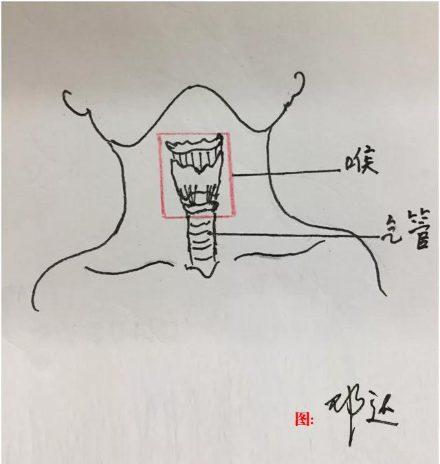 微信圖片_20181031094856.jpg