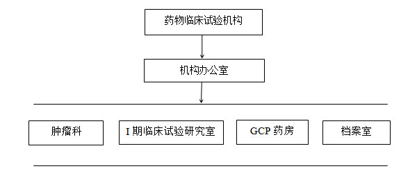 藥物臨床試驗(yàn)機(jī)構(gòu)組織結(jié)構(gòu)圖